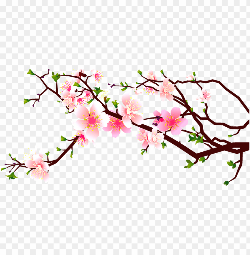 jpg black and white download at getdrawings com free cherry blossoms clipart free PNG transparent with Clear Background ID 182475