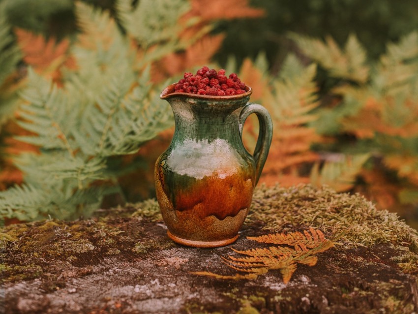 jug, raspberries, berries, nature, autumn