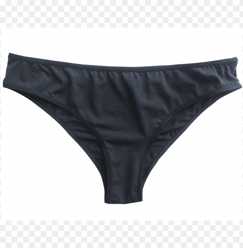 Julie Regular Panty Pantie In Grey-blue For Female - Underpants PNG  Transparent With Clear Background ID 239875