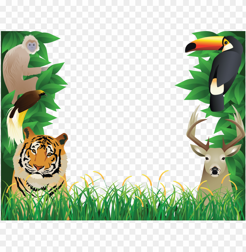 jungle animal background clipart - animal photo frame hd PNG image with  transparent background | TOPpng