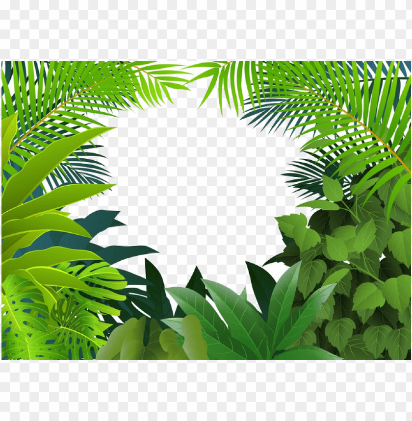 jungle clipart palm tree - rainforest jungle clipart PNG image with  transparent background | TOPpng