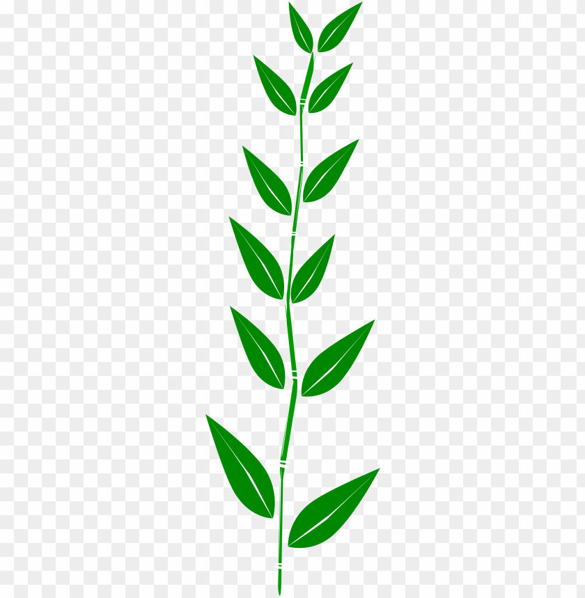 Jungle Leaves Clip Art Bamboo Leaf Clipart Png Image With Transparent Background Toppng