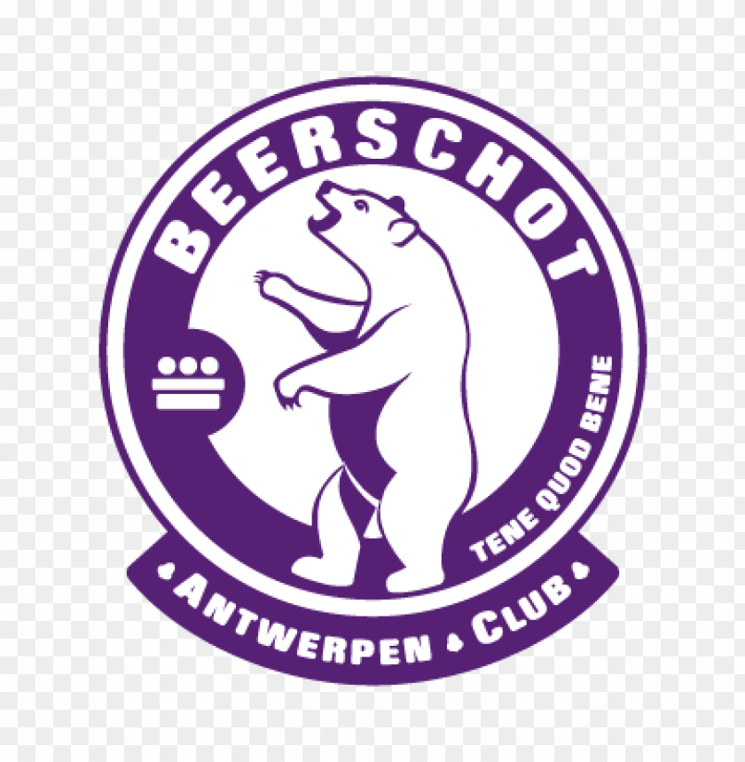  k beerschot ac vector logo - 460153
