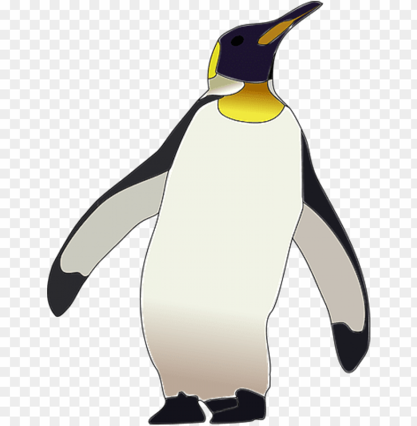 penguin, club penguin, phoenix bird, twitter bird logo, big bird, bird wings