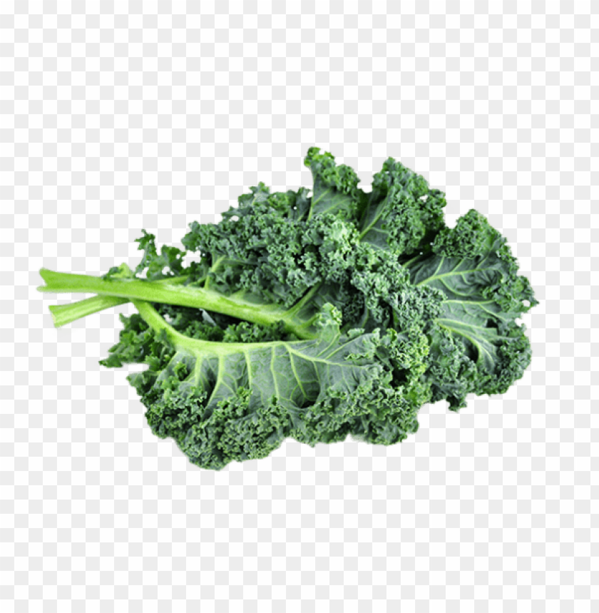 kale PNG images with transparent backgrounds - Image ID 6420