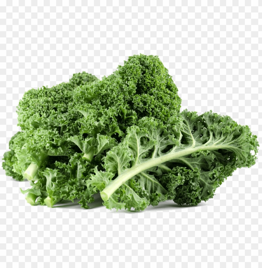 kale PNG images with transparent backgrounds - Image ID 6421