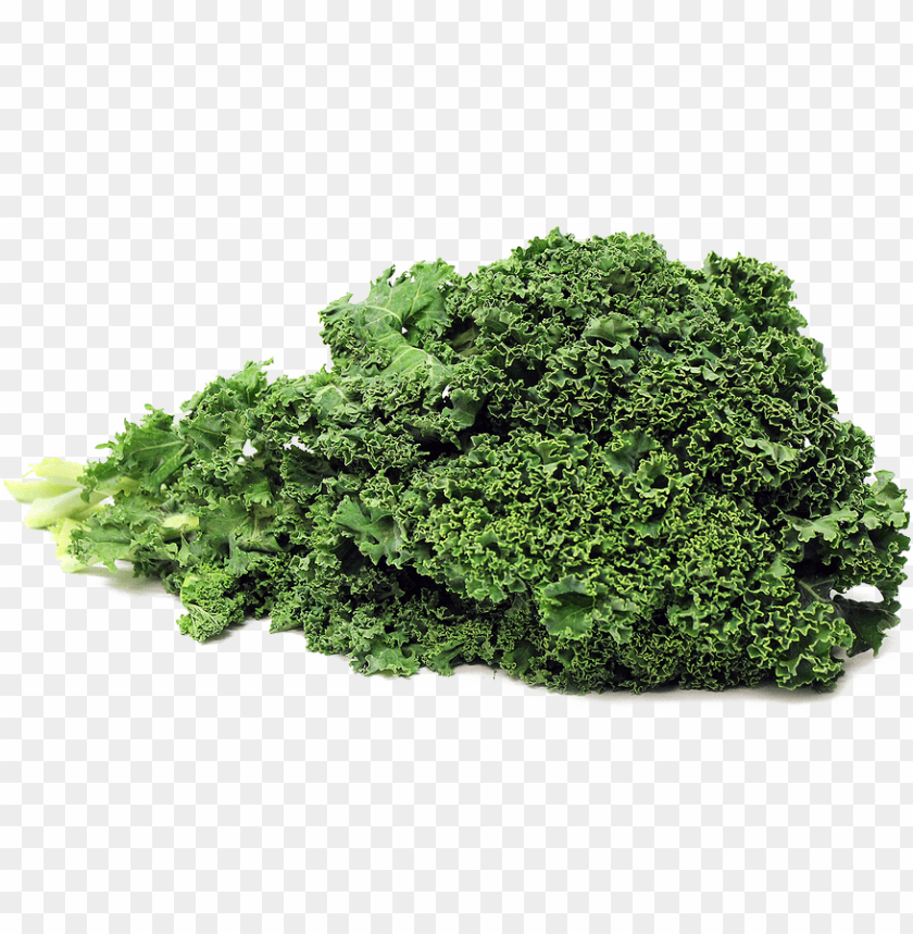 kale PNG images with transparent backgrounds - Image ID 6423