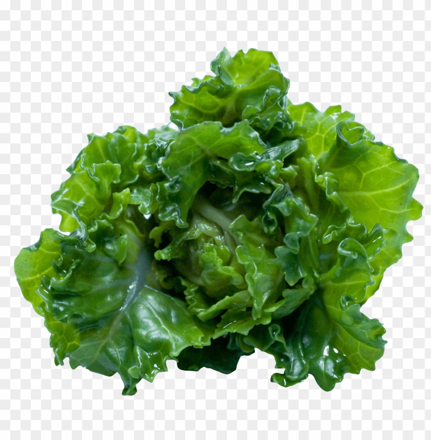 kale PNG images with transparent backgrounds - Image ID 6425