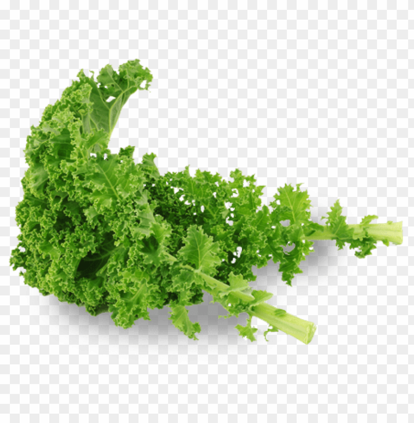 kale PNG images with transparent backgrounds - Image ID 6430