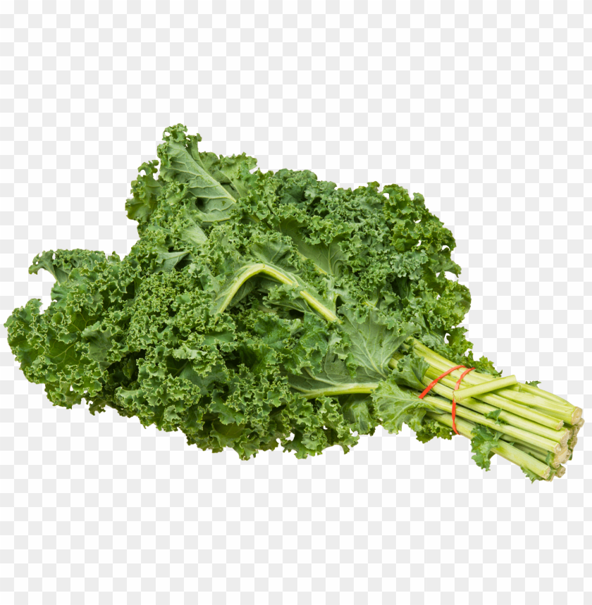 vegetables, kale, leaf cabbage, green leaves, borecole,الخضار ، اللفت , أوراق الملفوف 