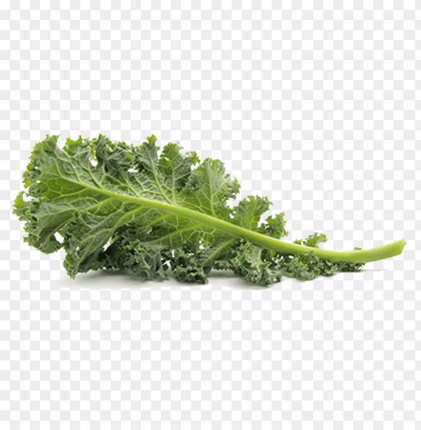 kale png pic PNG images with transparent backgrounds - Image ID 6427