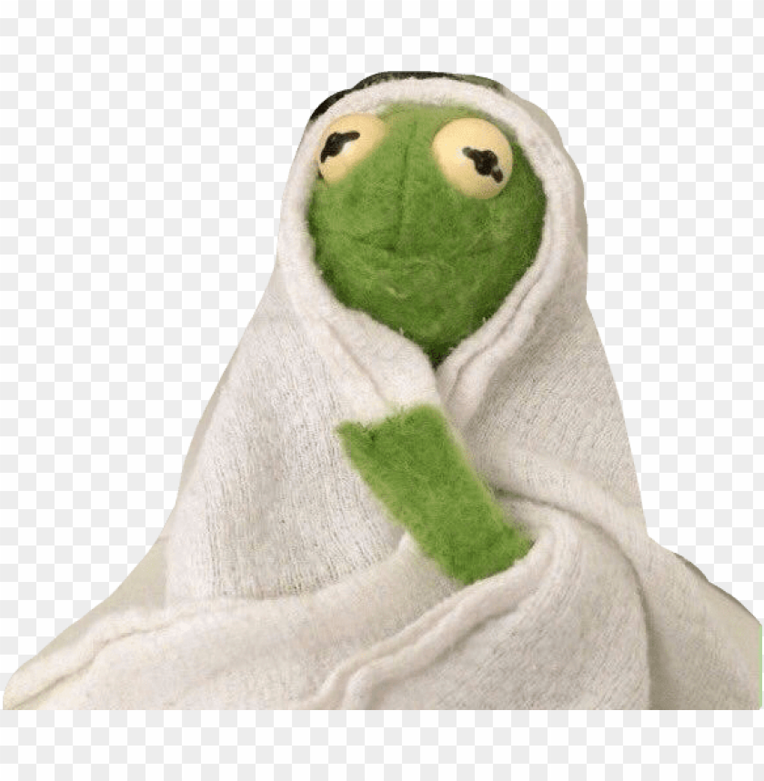 kermit blanket meme PNG transparent with Clear Background ID 276742