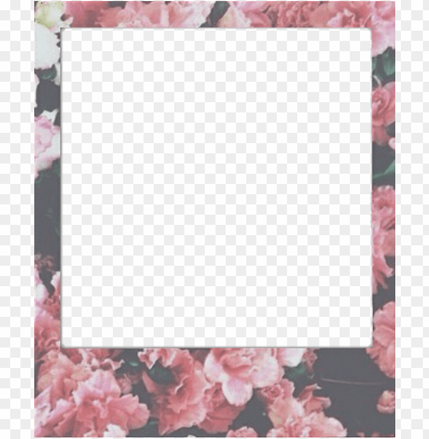 Kids Polaroid Frame Png PNG Image With Transparent Background
