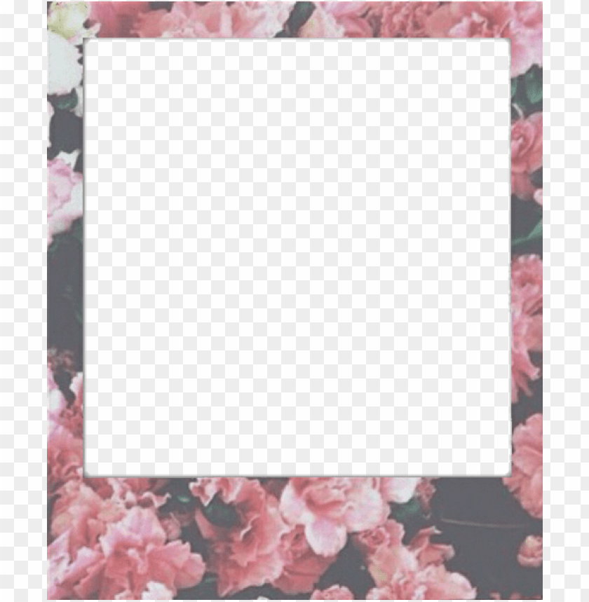 View Polaroid Tumblr Aesthetic Border Png Background