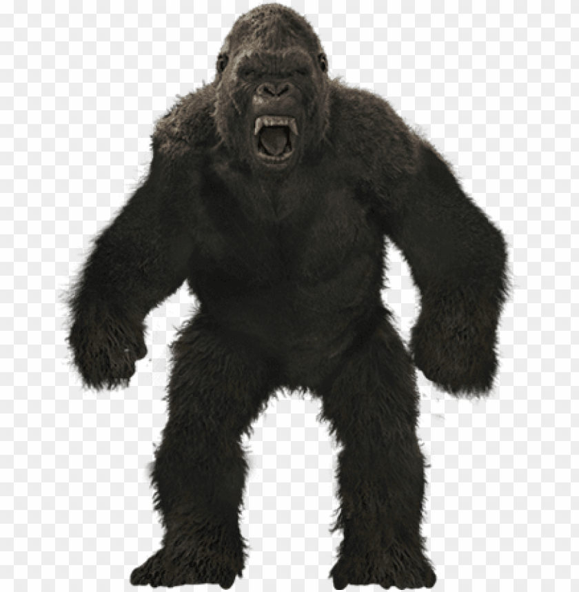 free PNG "king" kong - https - //static - tvtropes - org/pmwiki/pub/images/ - king kong height 2017 PNG image with transparent background PNG images transparent