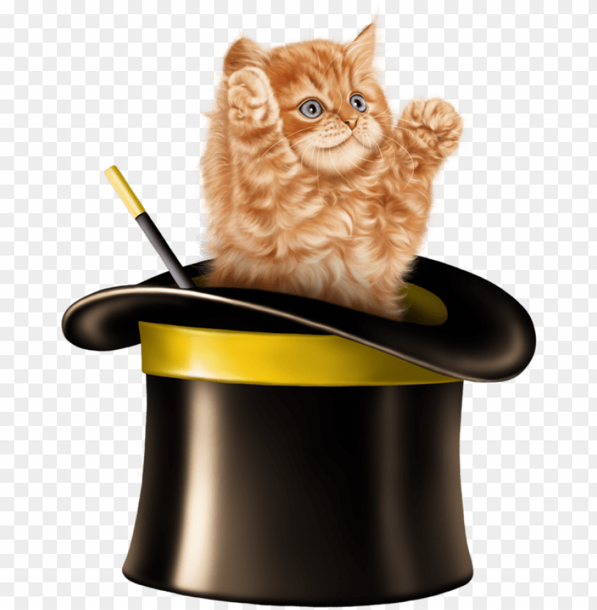 kitten cartoon kitten images cats and kittens tube cat in magic hat PNG transparent with Clear Background ID 346055