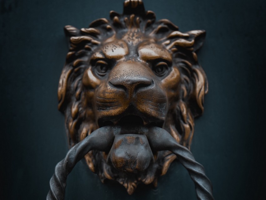 knoker, door, lion, iron, metal
