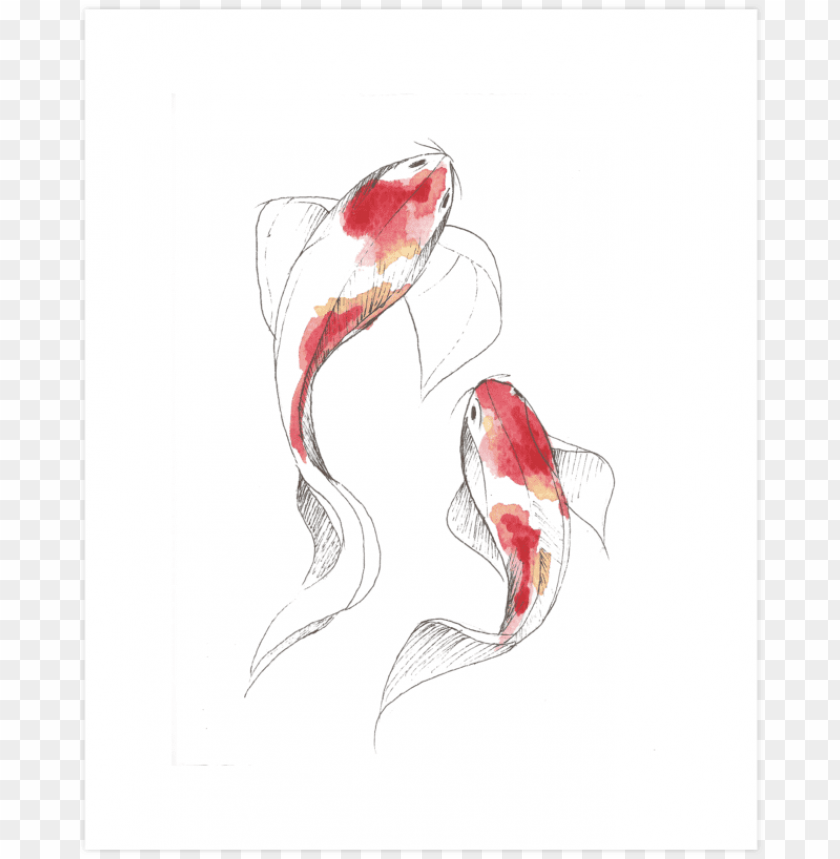 free PNG koi fish watercolor - koi fish drawing watercolor PNG image with transparent background PNG images transparent