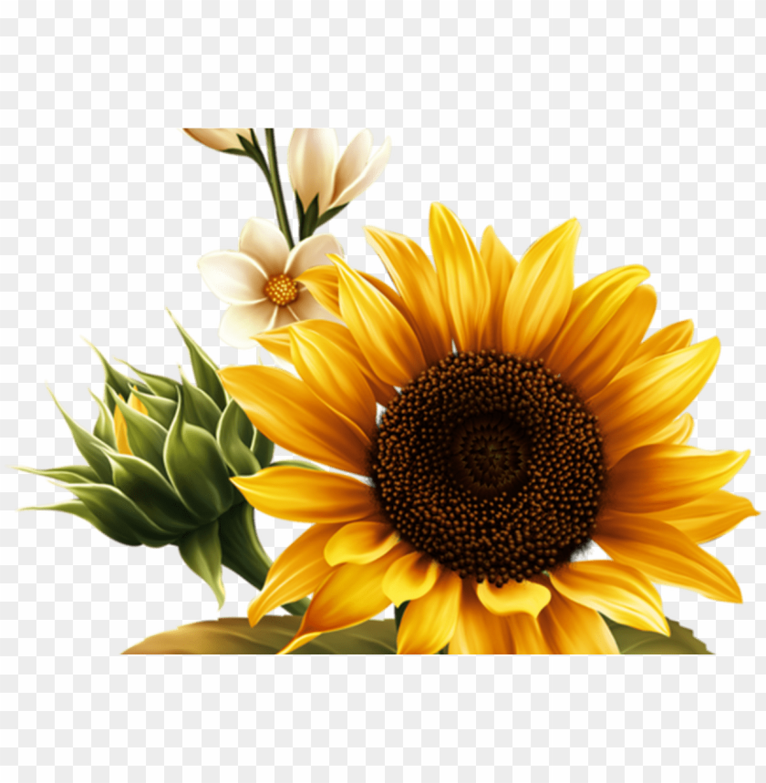 Free Free 229 Clipart Sunflower SVG PNG EPS DXF File
