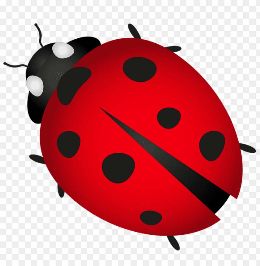 spring png, ladybug png