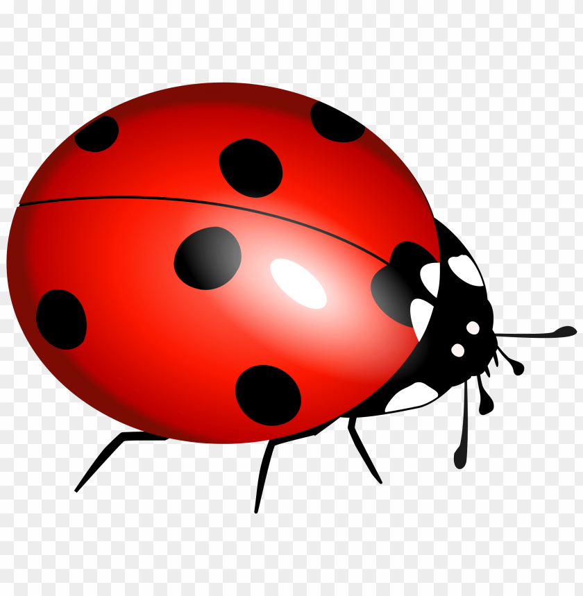 Ladybug Transparent PNG Clip Art Image​  Gallery Yopriceville -  High-Quality Free Images and Transparent PNG Clipart
