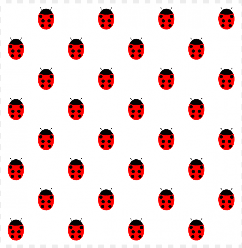 Ladybug isolated on a Transparent Background 24249280 PNG