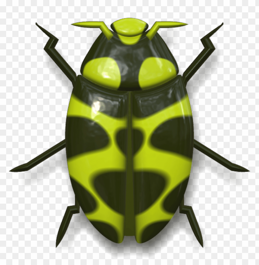 animals, insects, ladybugs, ladybug dark green and yellow, 
