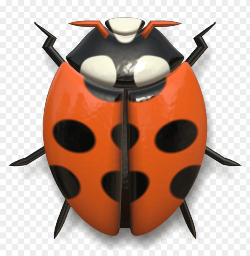 animals, insects, ladybugs, ladybug red and black head up, 