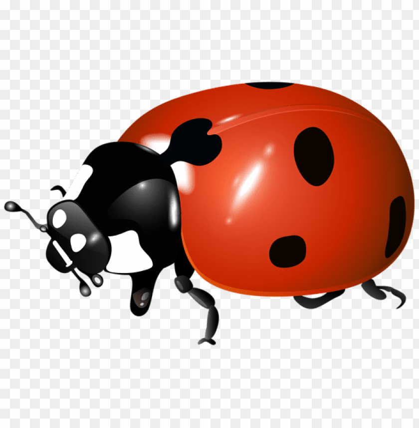 Ladybugs PNG Transparent Images - PNG All