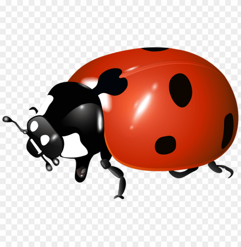 ladybug PNG image transparent image download, size: 3118x2692px