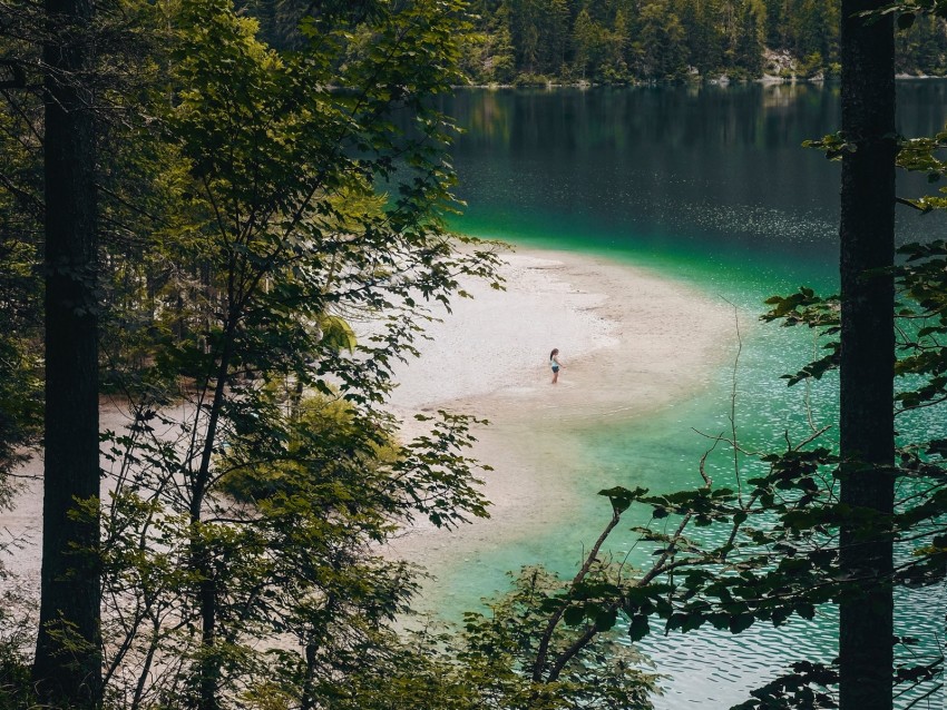 lake, beach, forest, mountains, nature