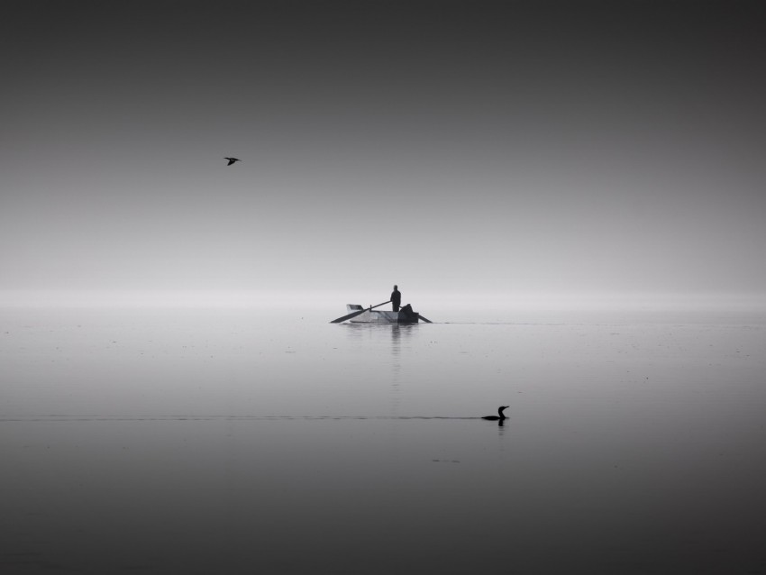 lake, boat, calm, horizon, silence, man, birds