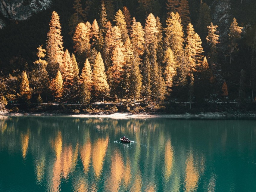 lake, boat, trees, landscape, autumn