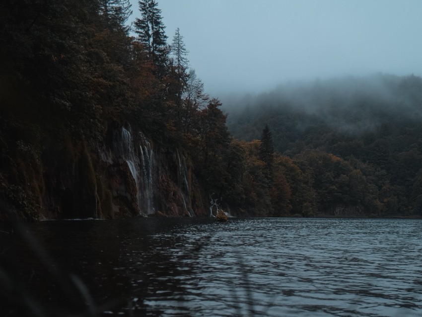 lake, coast, cliff, forest, fog