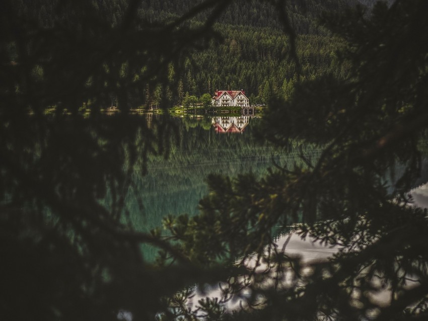 lake, forest, house, branches, dark