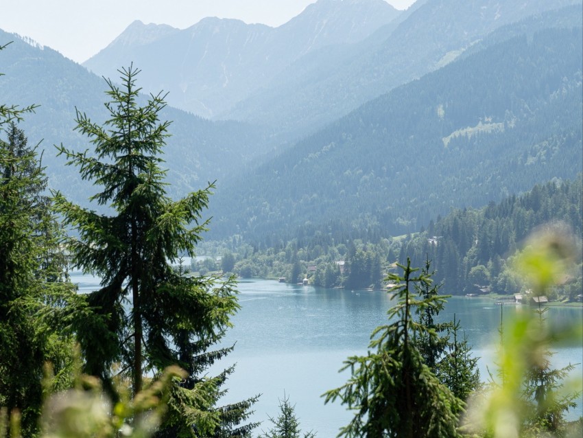 lake, forest, mountains, trees, shore
