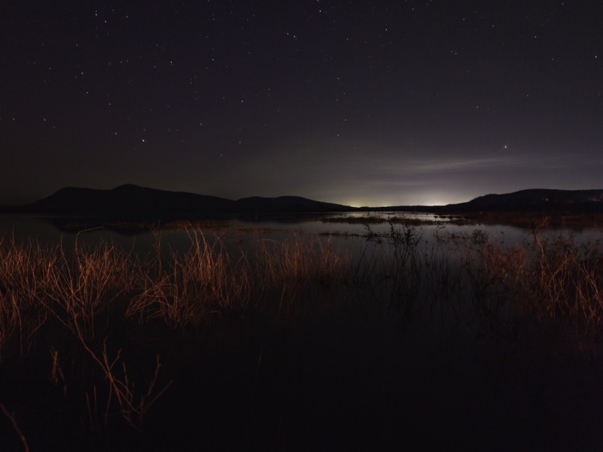 lake, night, starry sky, grass, darkness