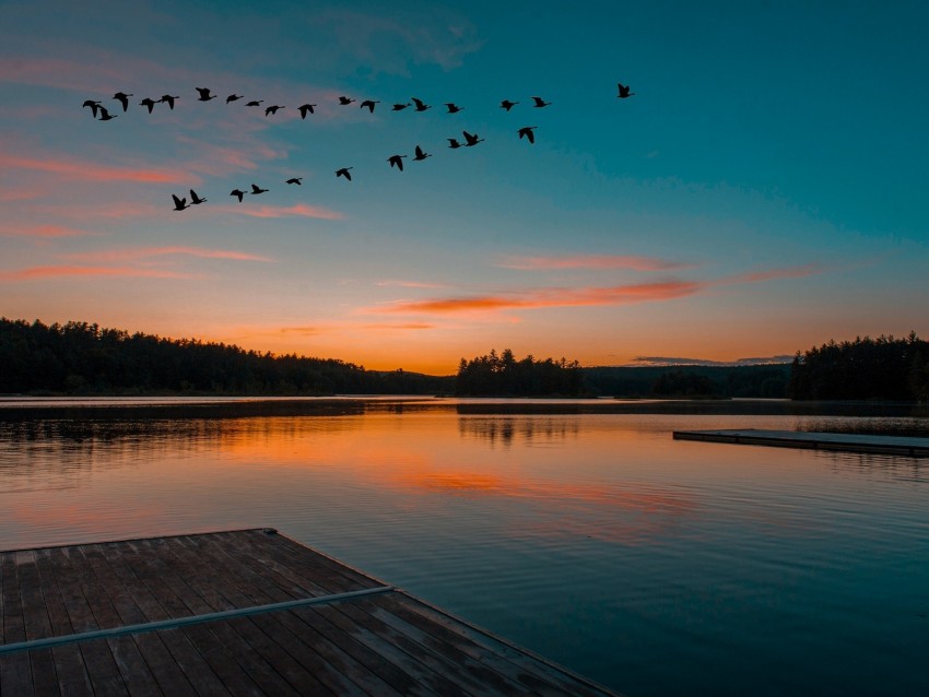 lake, sunset, birds, flight, horizon