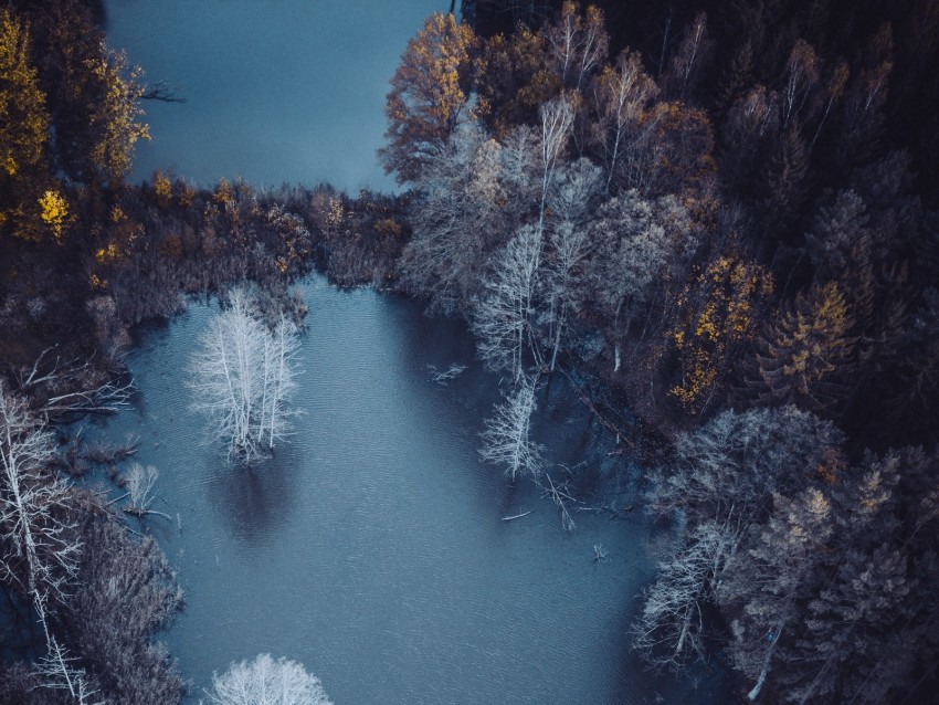 lake, trees, aerial view, autumn, frost