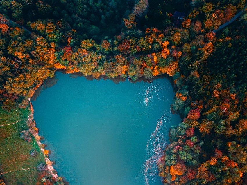 lake, trees, aerial view, autumn, hungary