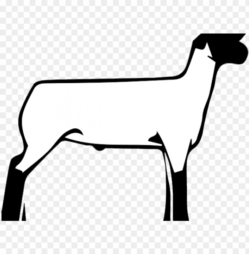 Lamb Clipart Club Lamb - Livestock Show Sheep Silhouette PNG Transparent With Clear Background ID 197760