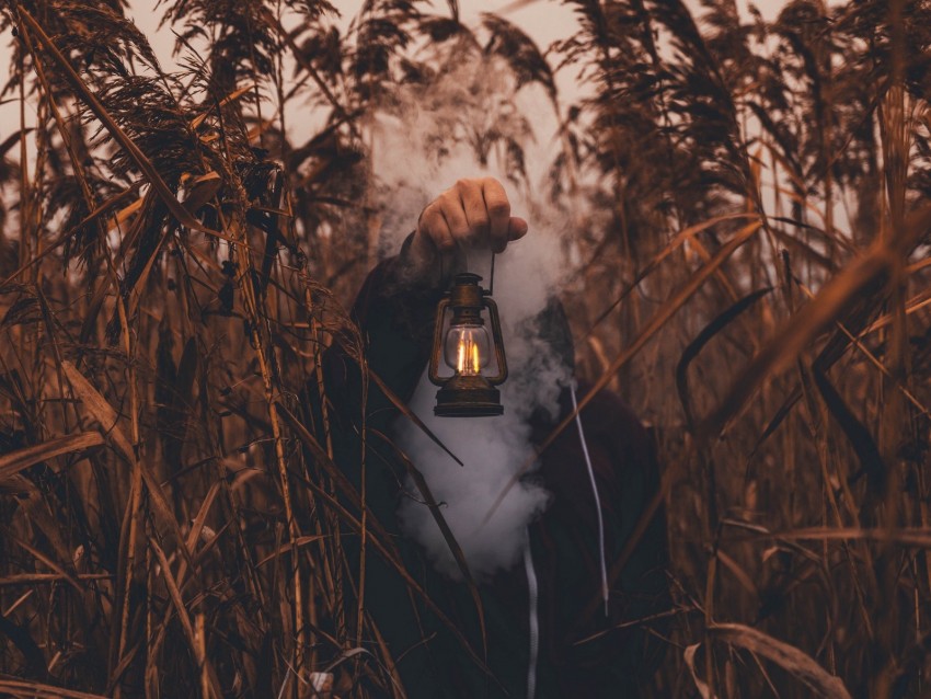 lamp, hand, smoke, man, grass, lantern