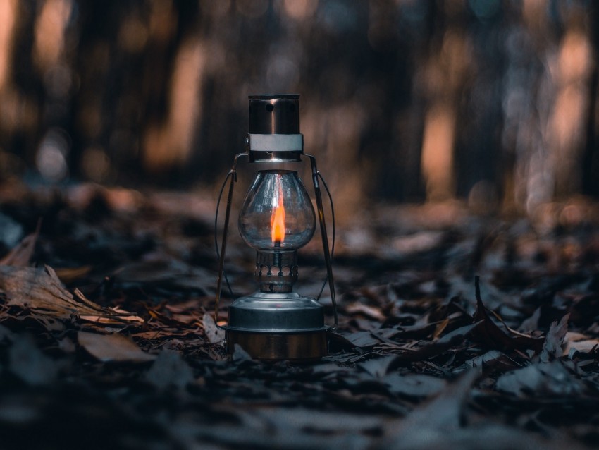 lamp, lantern, fire, leaves, dry, autumn