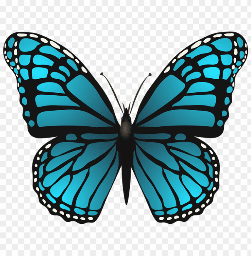 Download Large Blue Butterfly Clipart Png Photo Toppng
