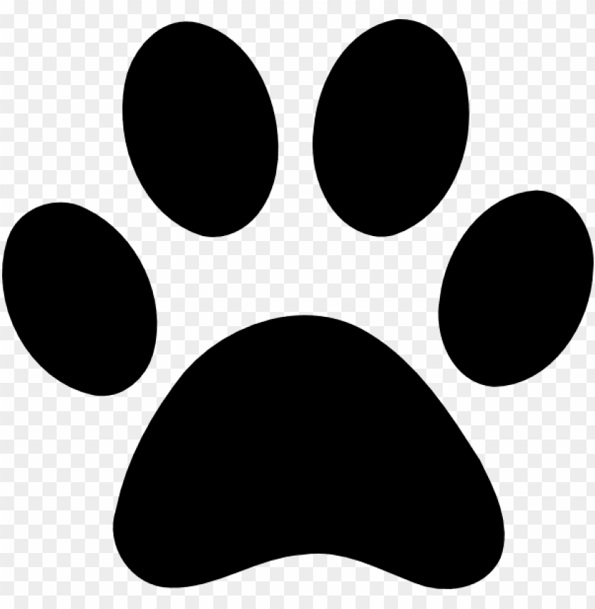 animals, paw prints, large paw print, 