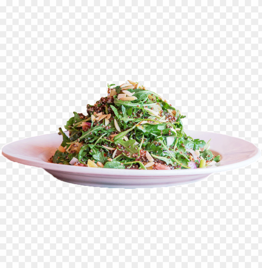 large plate of green salad topped with nuts food on plate side view PNG transparent with Clear Background ID 278645