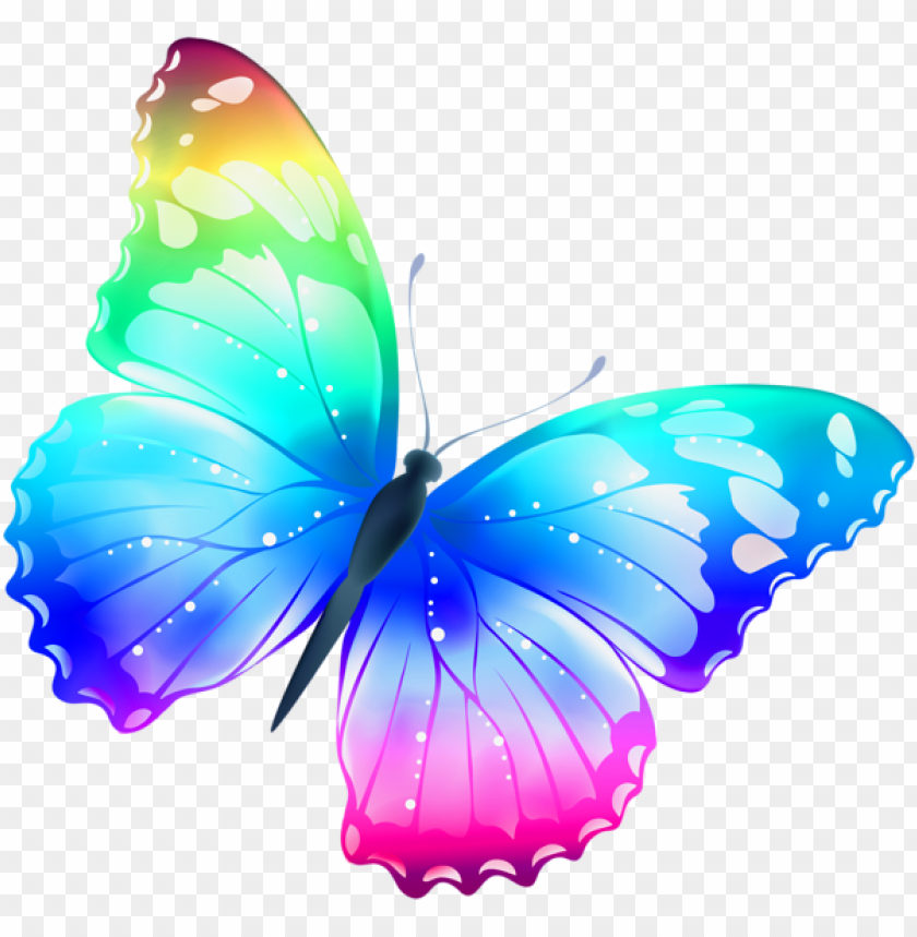 Download large transparent multi color butterfly clipart png photo | TOPpng