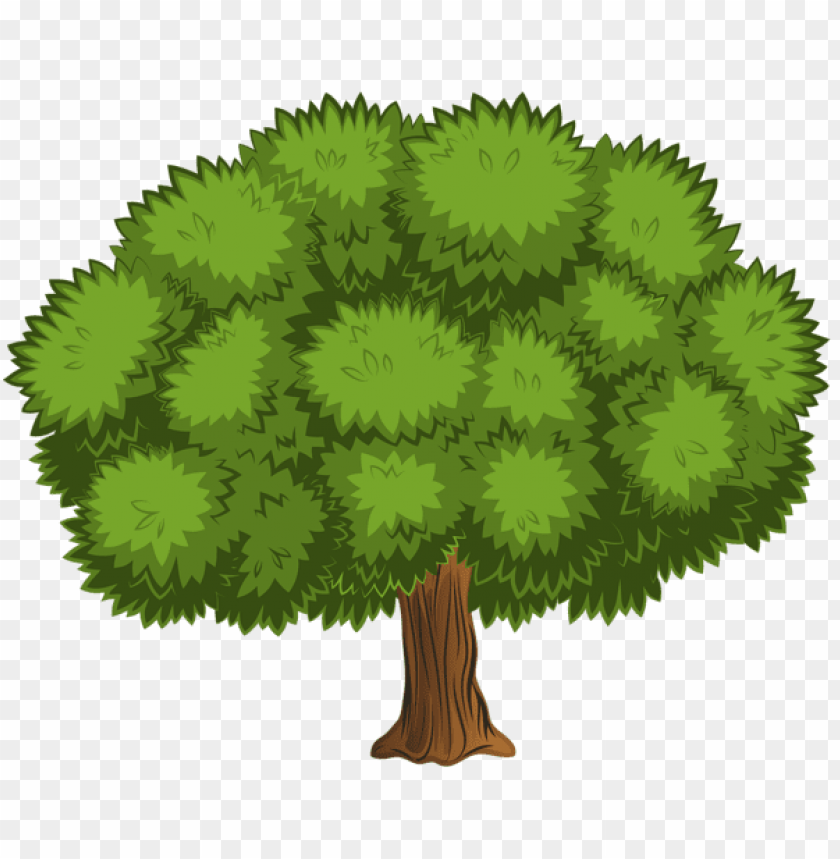 Download large tree png images background | TOPpng