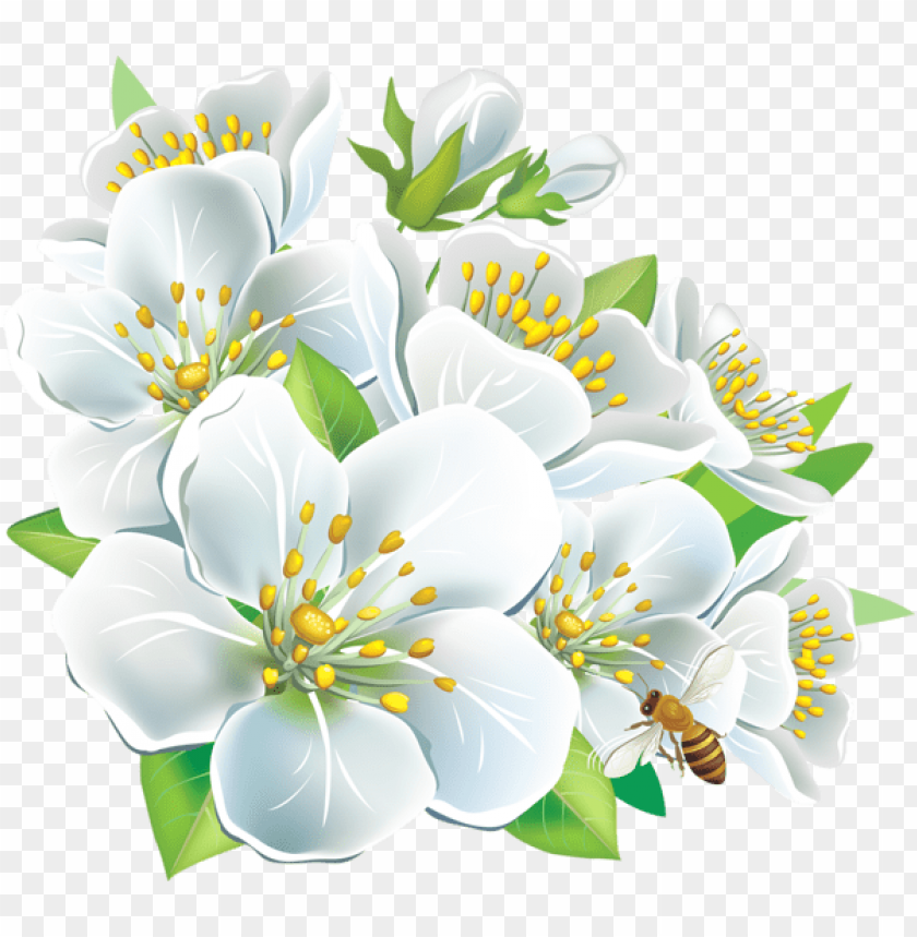 large white flowers