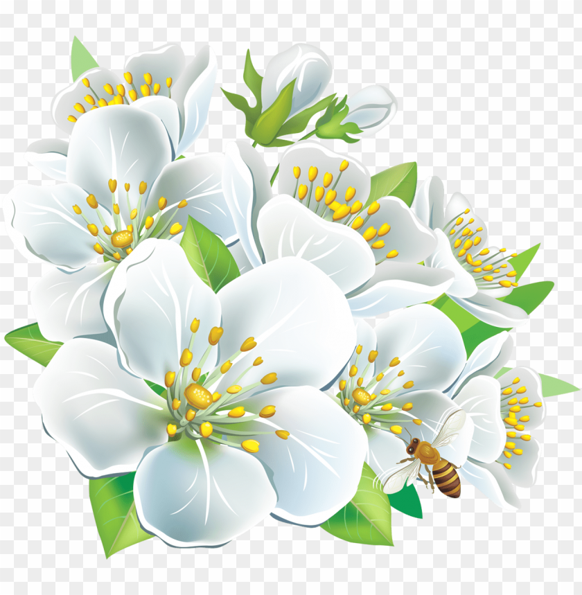 numeracy clipart of flowers